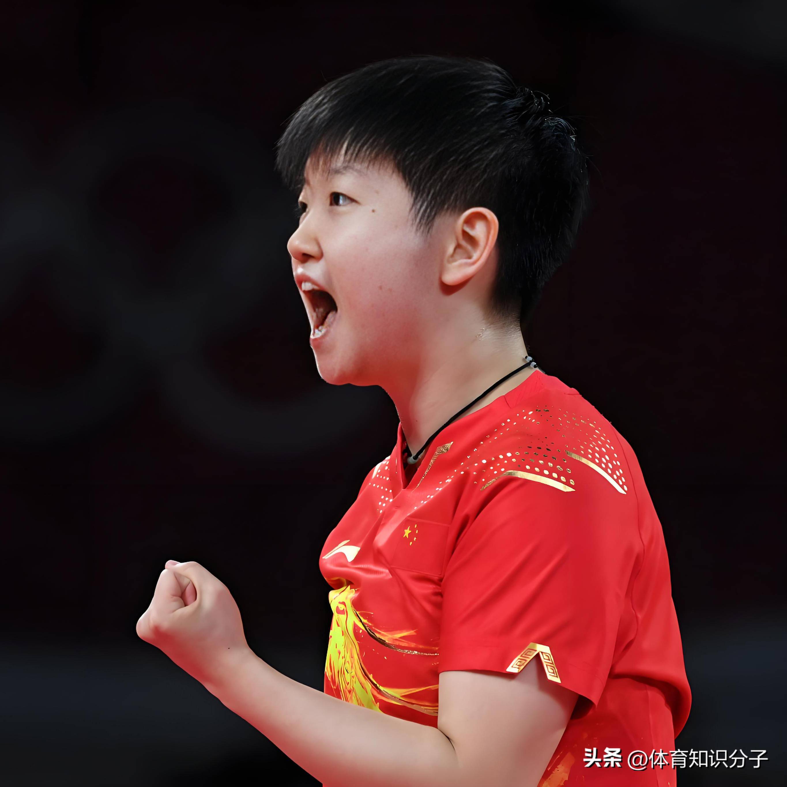 日本乒乓球队爆冷比利时乒乓球队，波尔惊艳世界的简单介绍