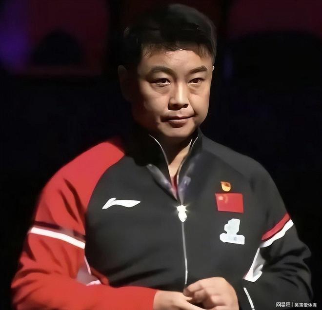 比利时乒乓球队鏖战中国乒乓球队，王皓惊艳世界的简单介绍