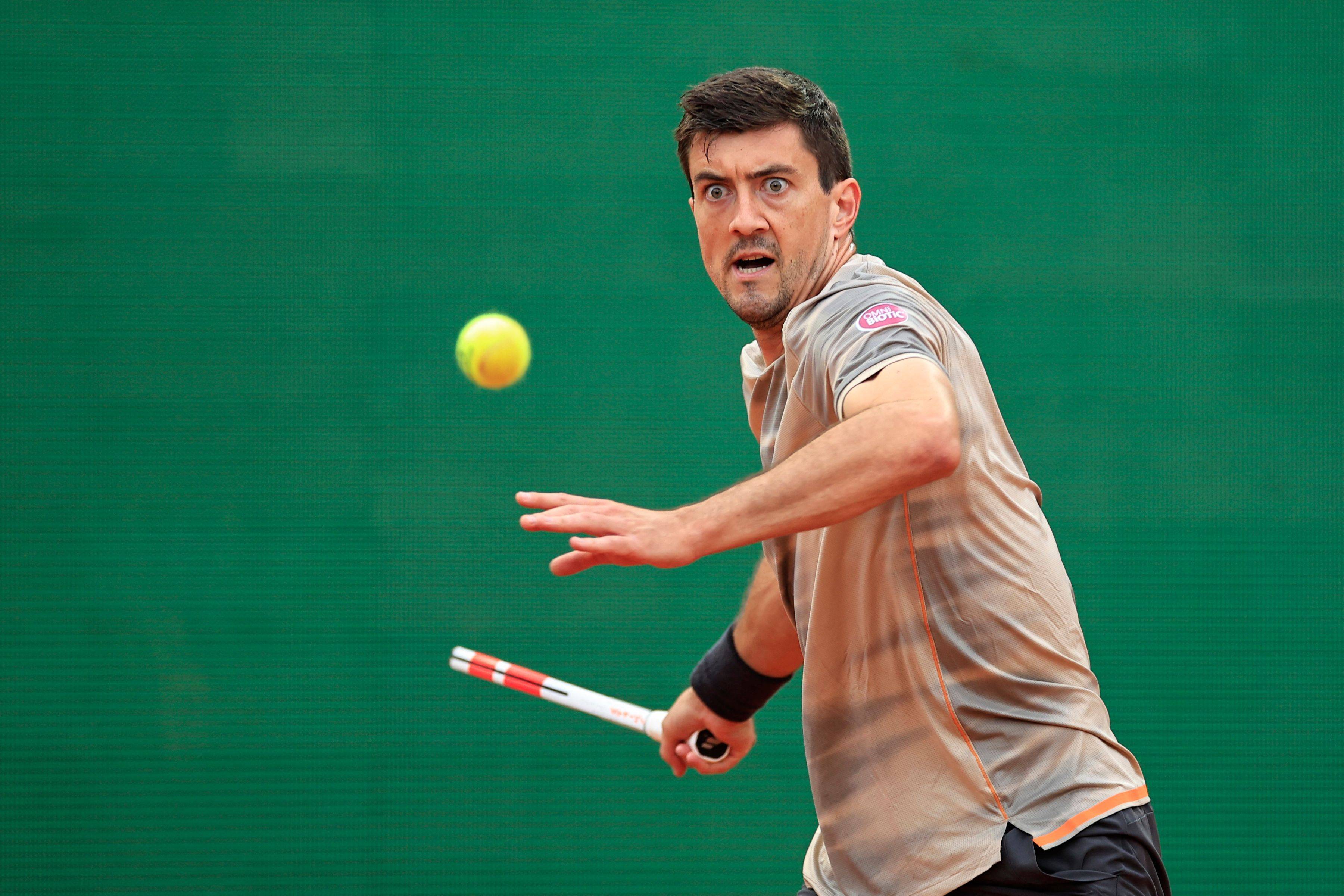 包含德国网球队逆转日本网球队，兹维列夫制霸全场的词条