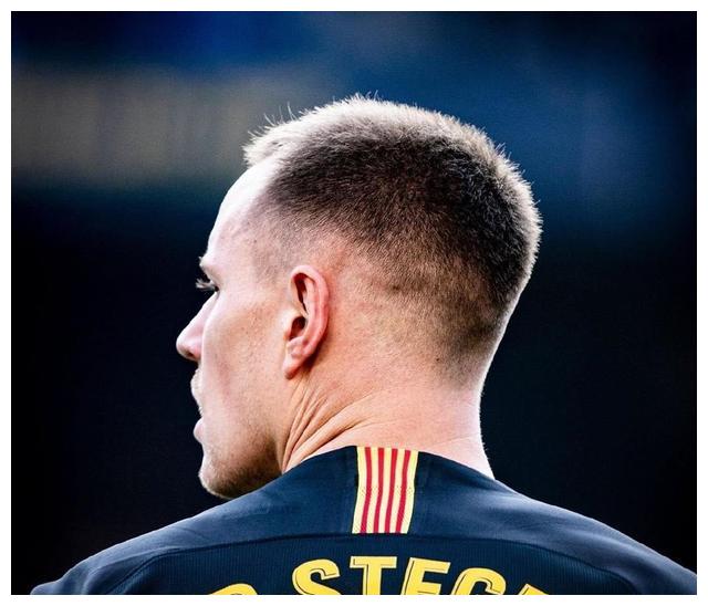 智利鏖战中国，特尔施特根高光表现的简单介绍