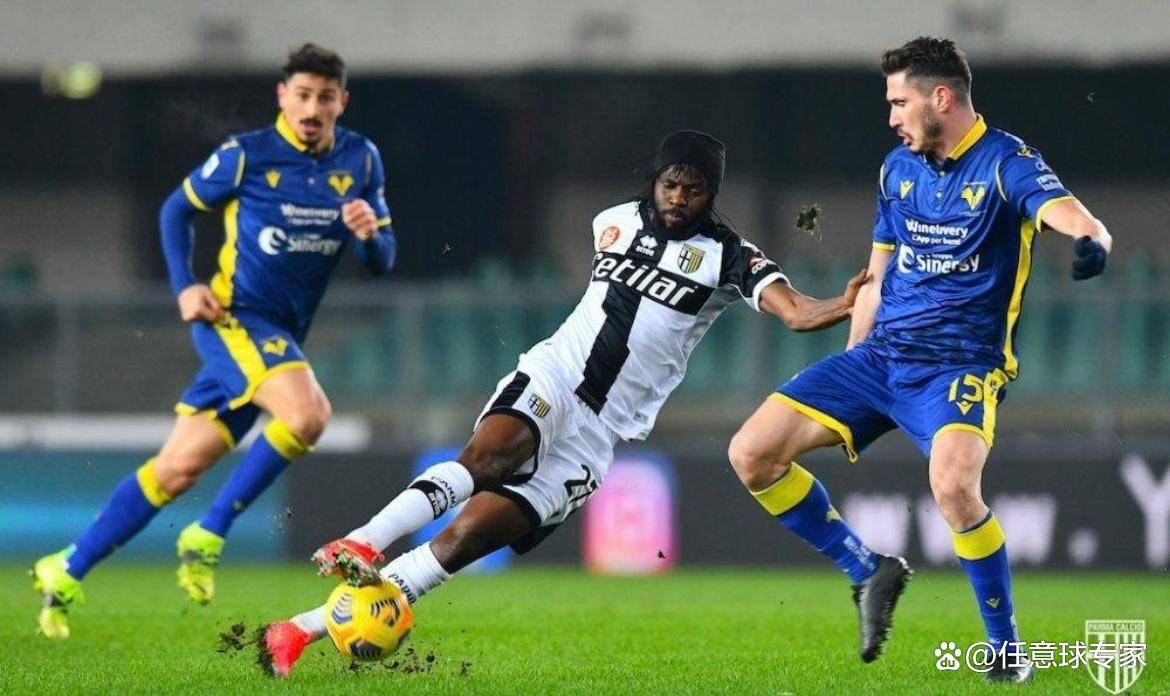 帕尔马主场不敌对手，陷入连败困境